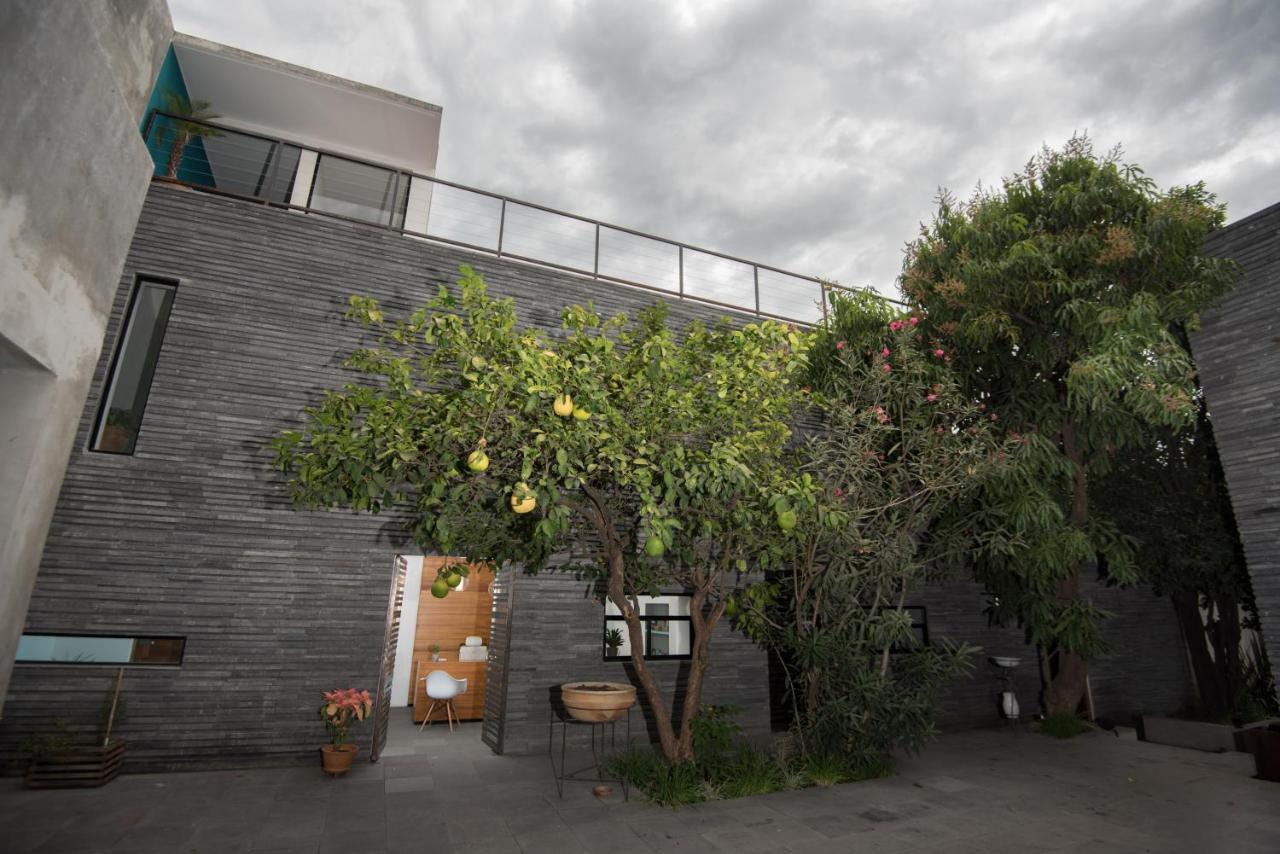 Nardazul "Casa De Suenos" Hotell Oaxaca Exteriör bild